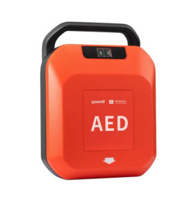 biphasisch stromgesteuerter Defibrillationsimpuls